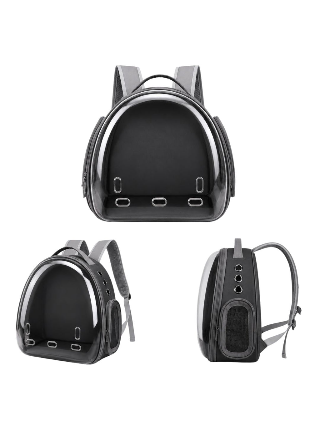 Transportador Daki Explorer