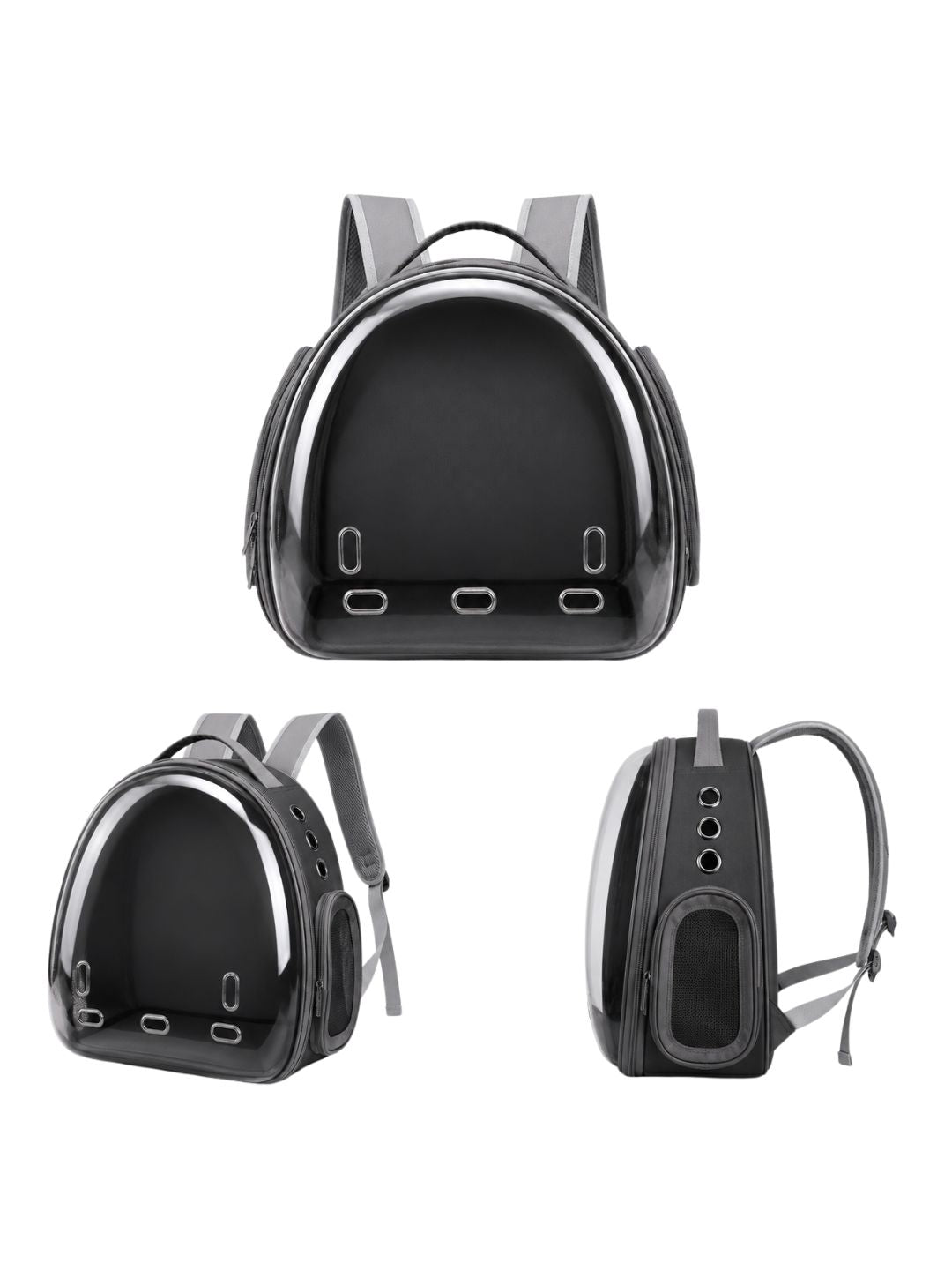 Transportador Daki Explorer