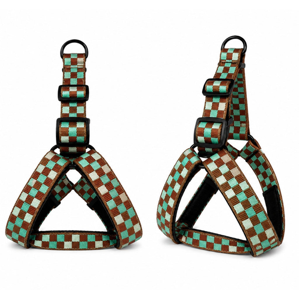 Arnés Daki Aventure