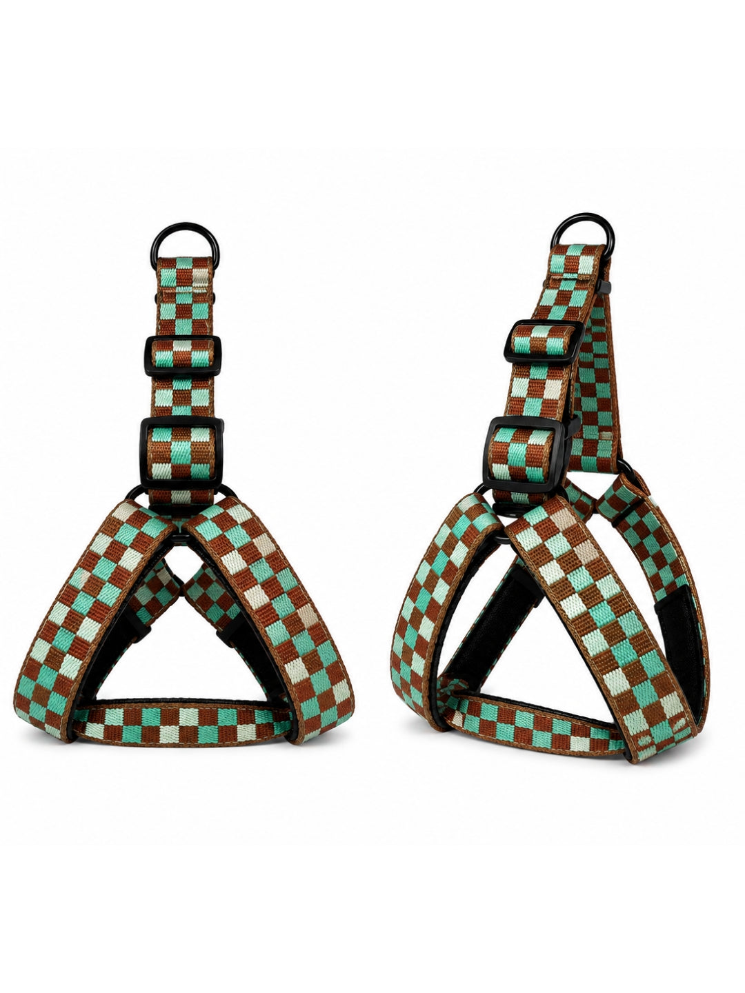 Arnés Daki Aventure