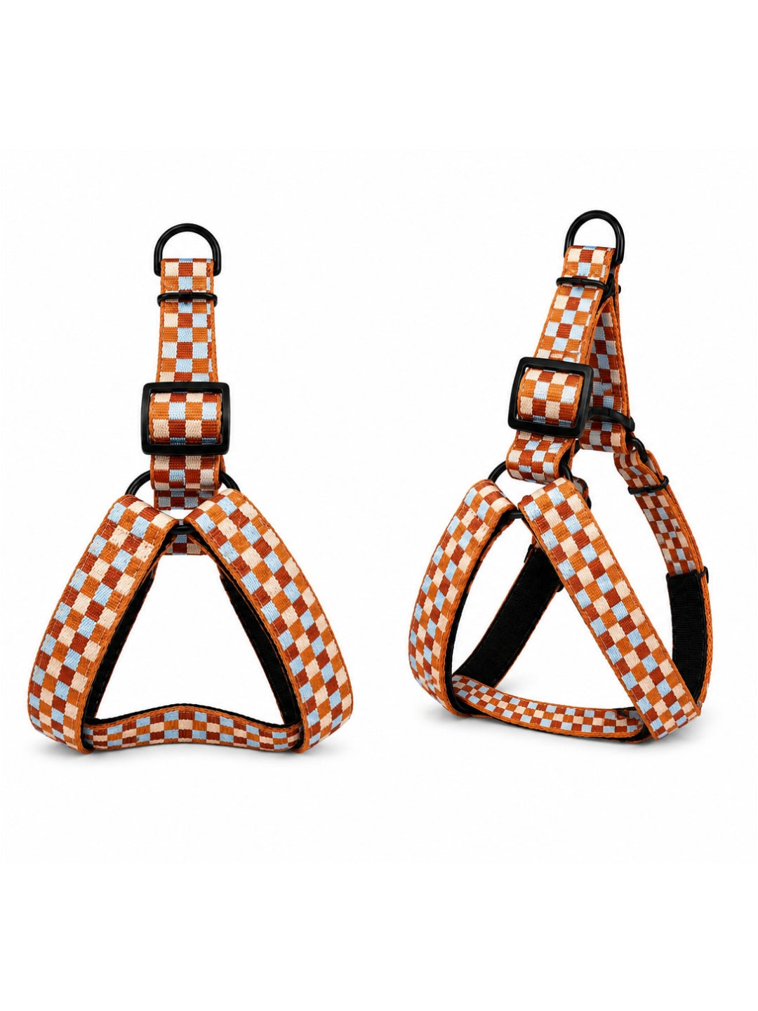 Arnés Daki Aventure