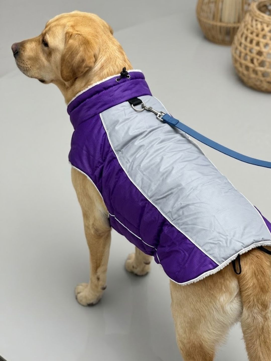 Chaqueta Impermeable Explorer