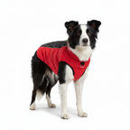 Chaqueta Impermeable Explorer