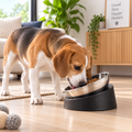 Plato Inclinado de Acero Inoxidable para Perros