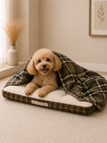 Kit Premium Invierno — Colchon Daki Nube XL + Manta Polar Premium