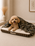 Kit Premium Invierno — Colchon Daki Nube XL + Manta Polar Premium