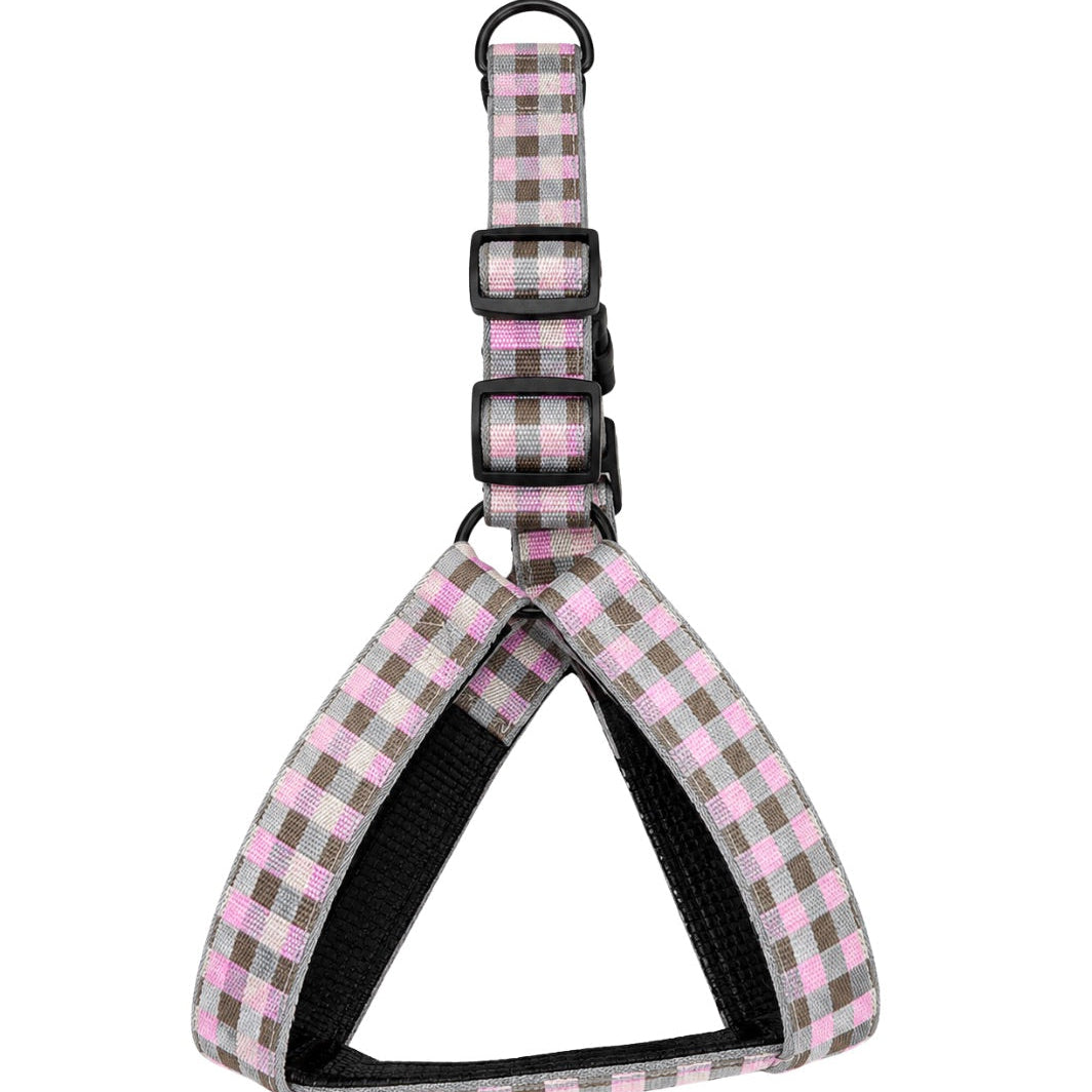 Arnés Daki Aventure