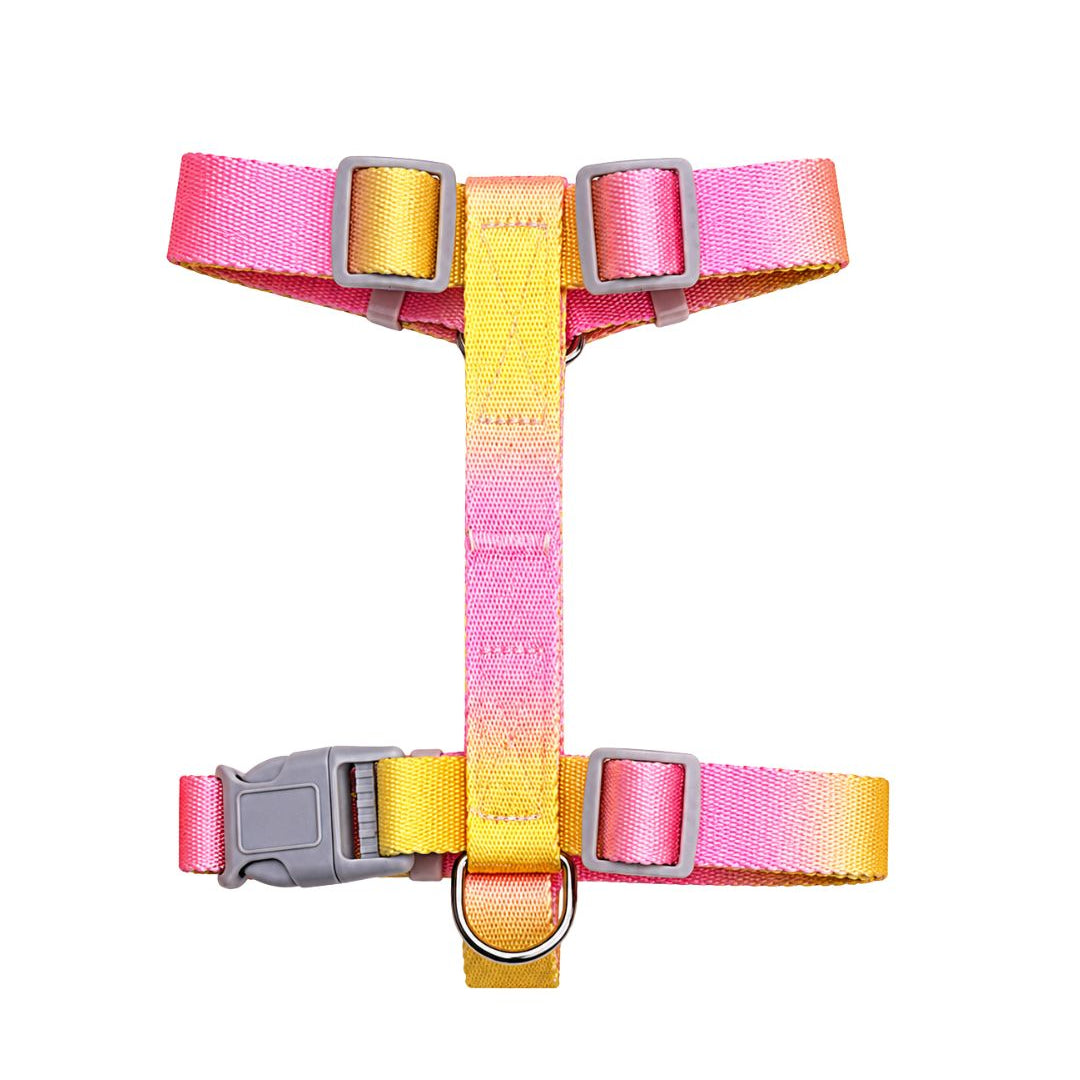 Arnés Daki Rainbow Pop - La Casa de Daki