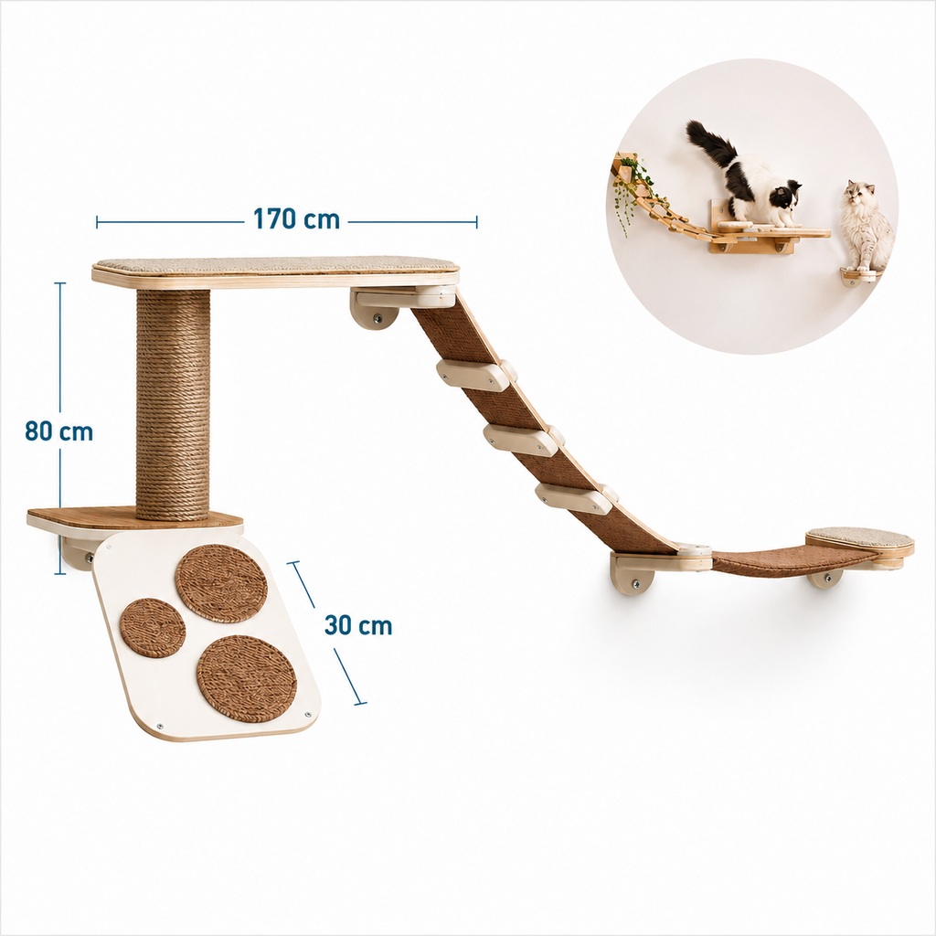 Circuito de Pared Daki Cat Adventure Premium - La Casa de Daki