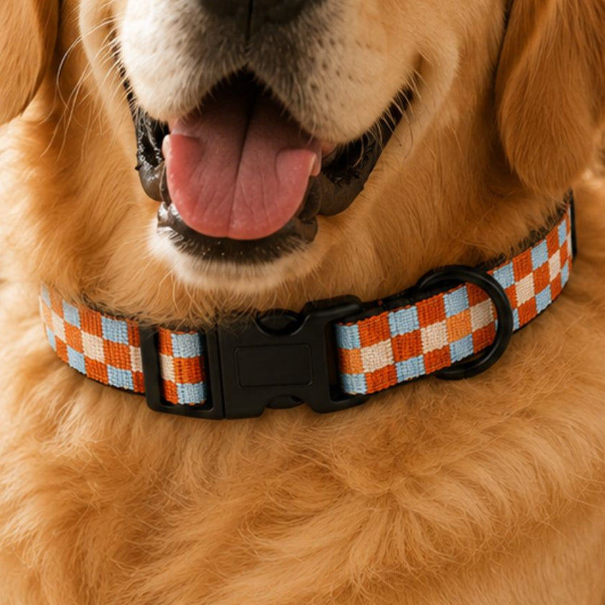 Collar Daki Aventure - La Casa de Daki