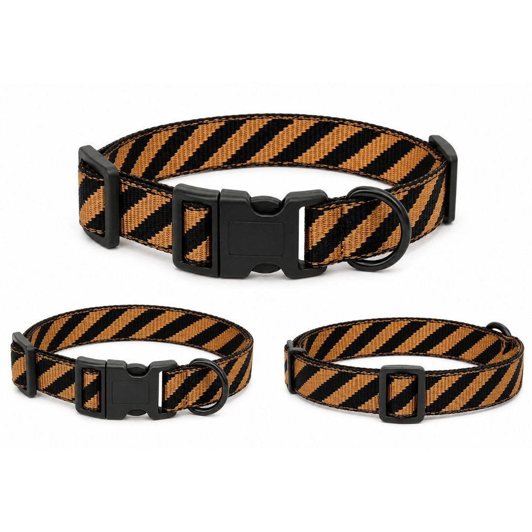 Collar Daki Aventure - La Casa de Daki