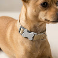 Collar Daki Classic Beige M - La Casa de Daki