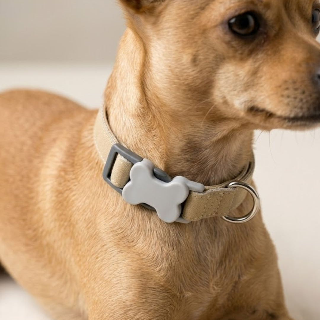 Collar Daki Classic Beige M - La Casa de Daki