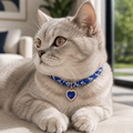 Collar Premium Daki Royal Heart - La Casa de Daki