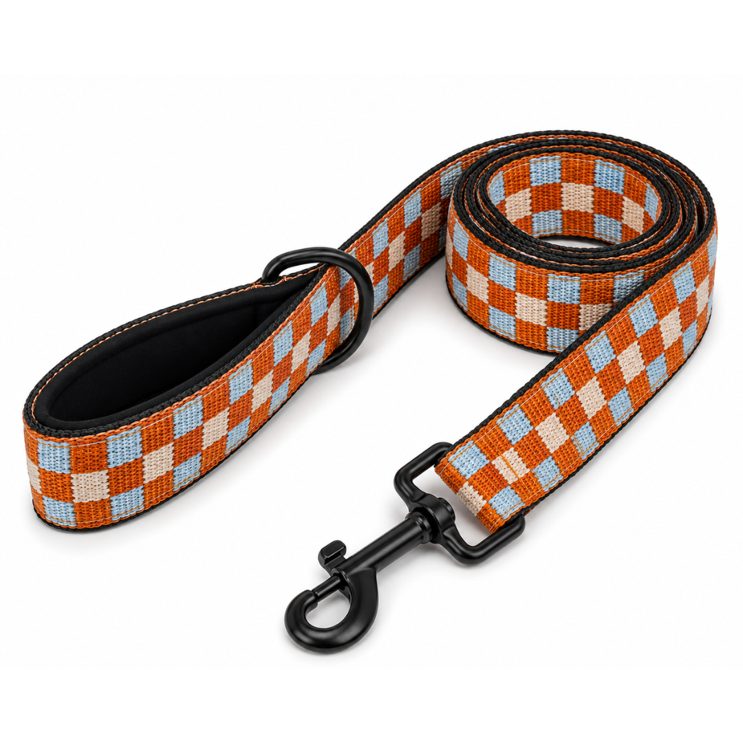 Correa Daki Adventure Pro - La Casa de Daki