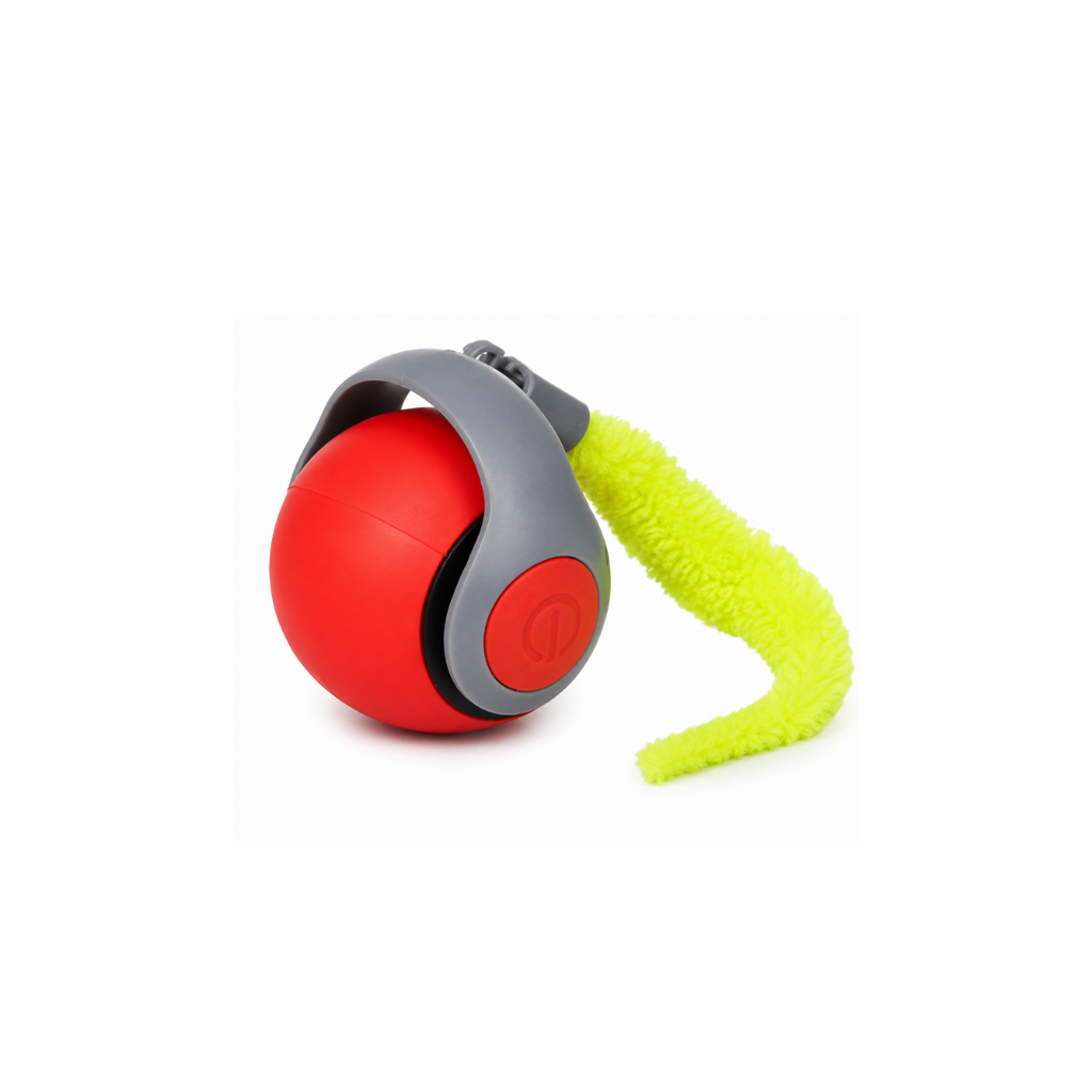 Juguete Daki Ball Fetch - La Casa de Daki