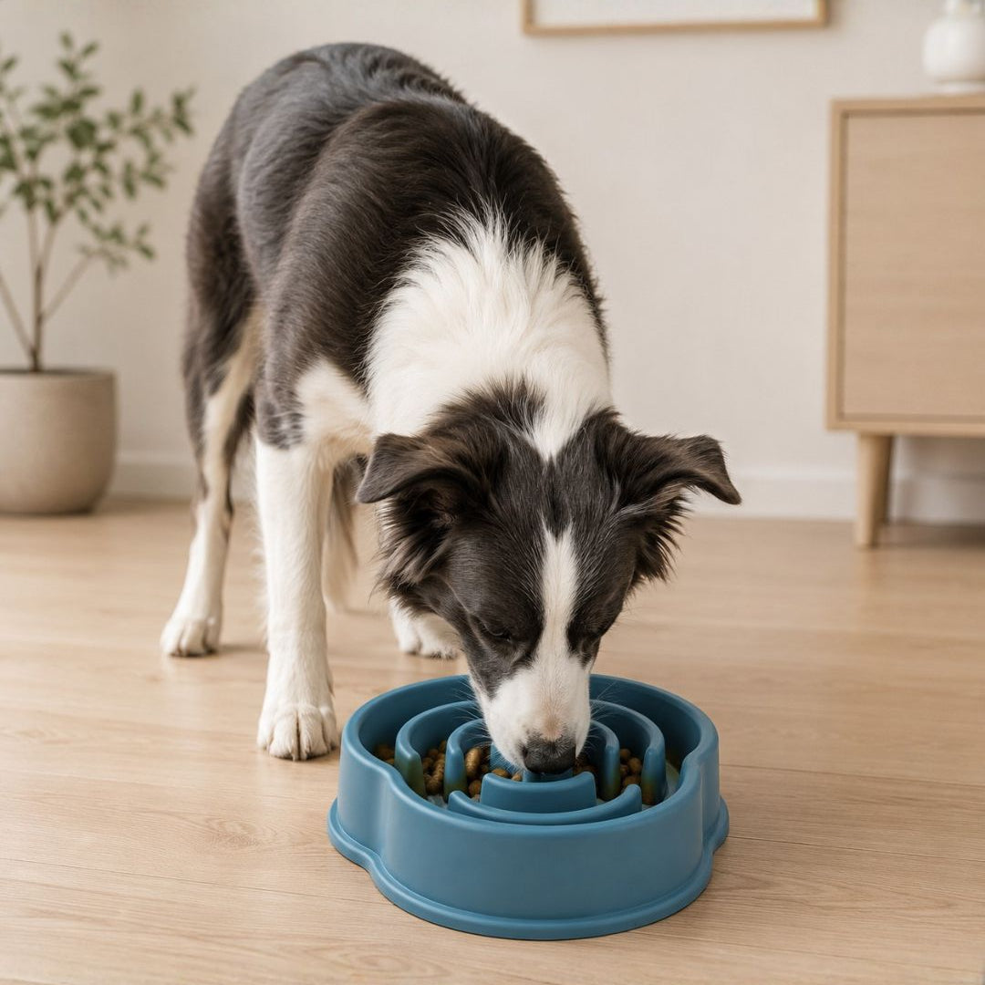 Plato Antiansiedad Daki Slow Feed - La Casa de Daki