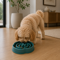 Plato Antiansiedad Daki Slow Feed - La Casa de Daki