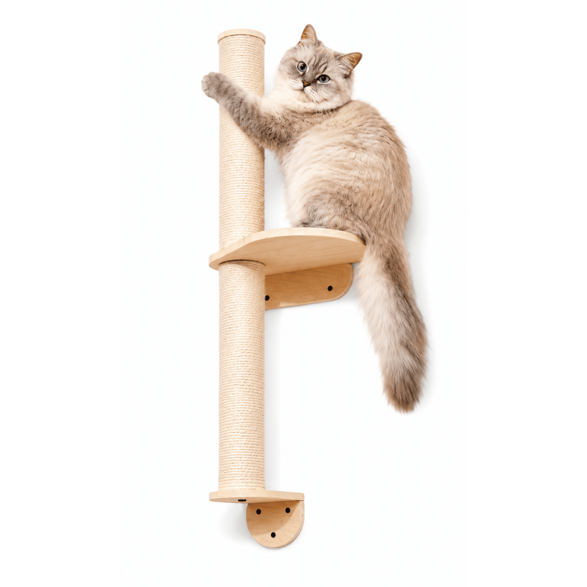 Poste Rascador Daki WallClimb 91 para Gatos - La Casa de Daki