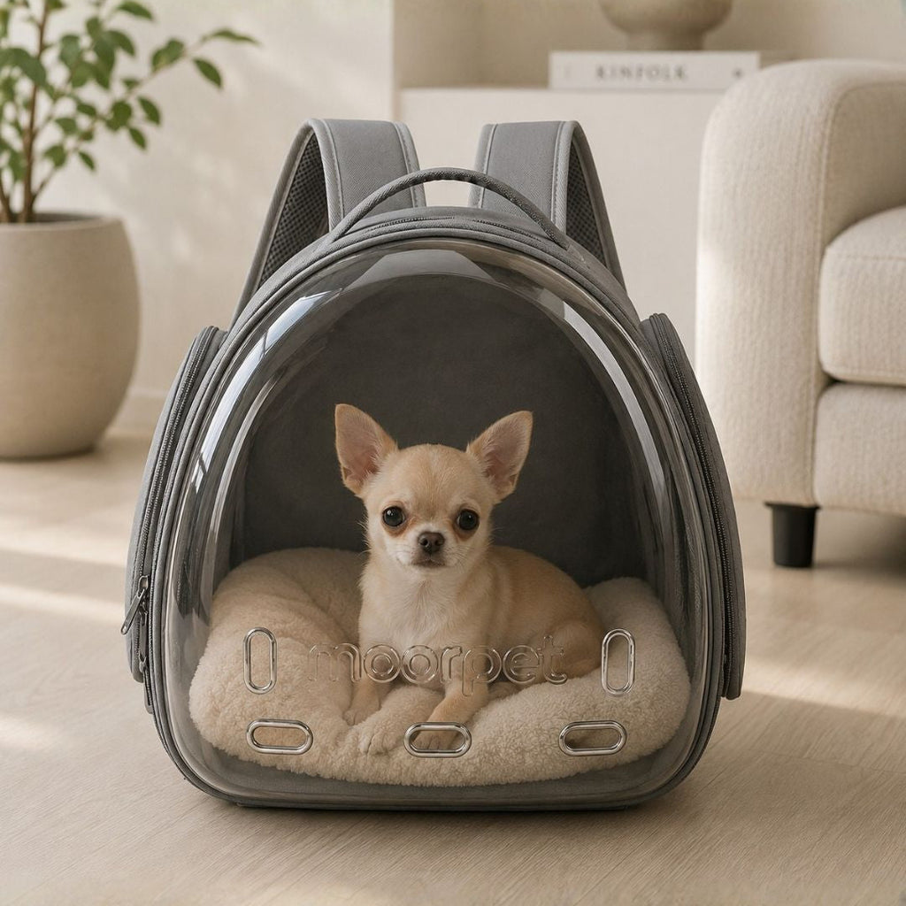 Transportador Daki Explorer - La Casa de Daki