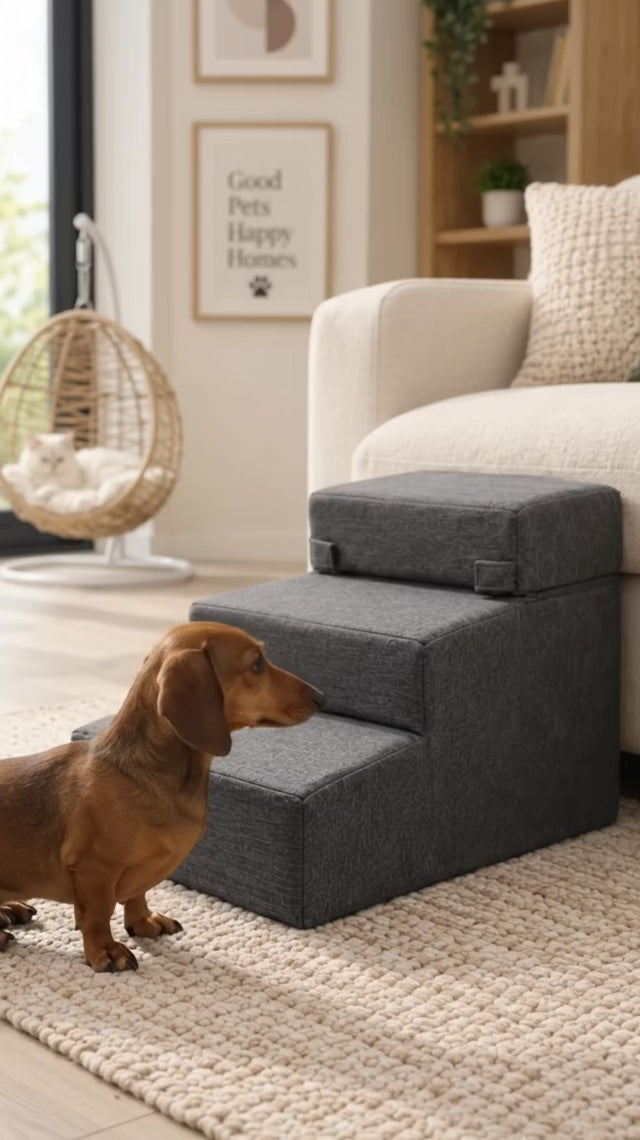 Escalera Acolchada para Perros