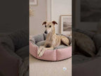 Cama Flor para Perros y Gatos