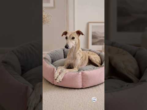 Cama Flor para Perros y Gatos