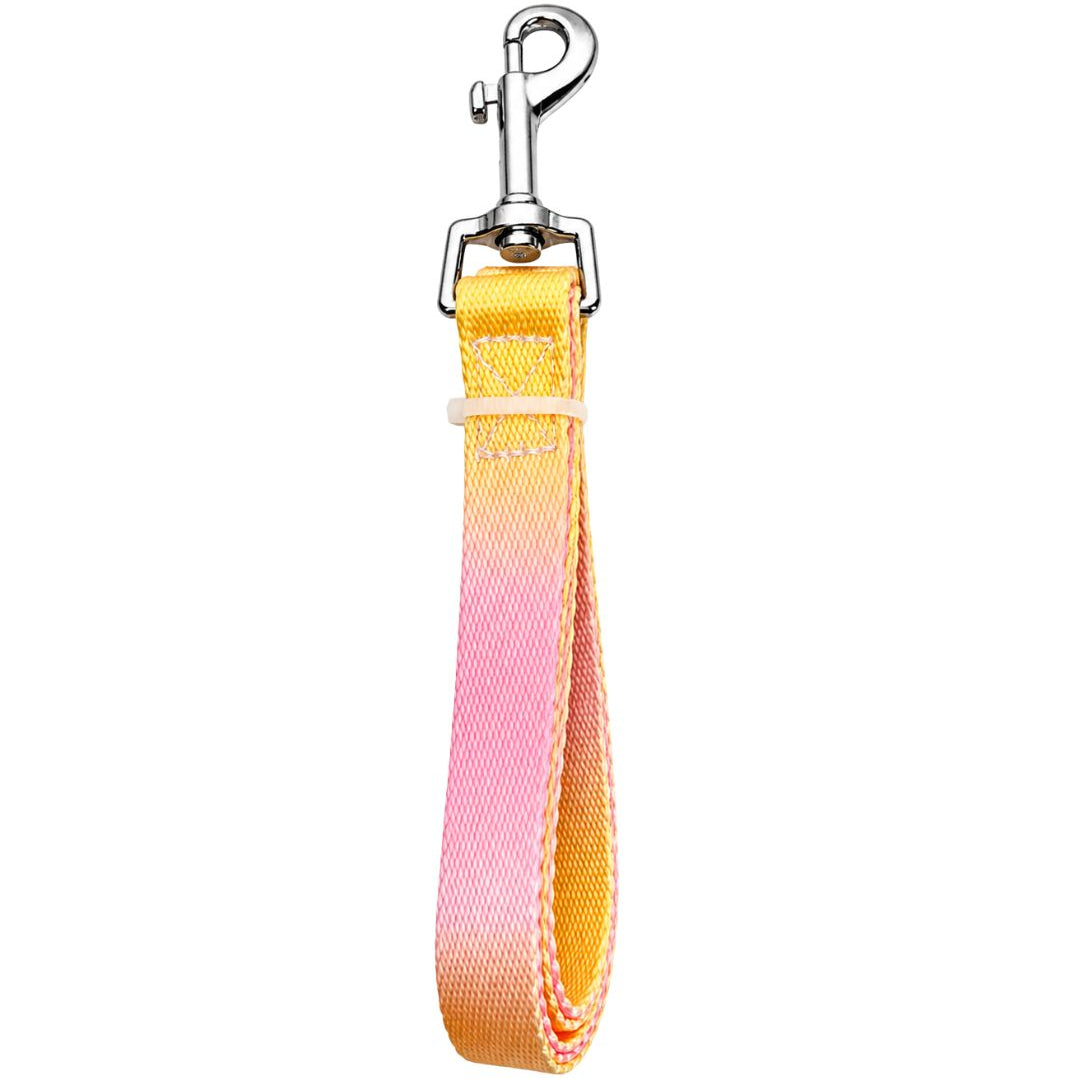 Arnés Daki Pechera Sunset + Correa
