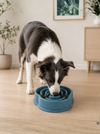 Plato Antiansiedad Daki Slow Feed