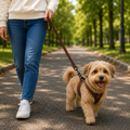 Correa Daki Paseo Seguro para Perros - Marrón