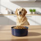 Plato Cerámico Azul Marino para Perros y Gatos
