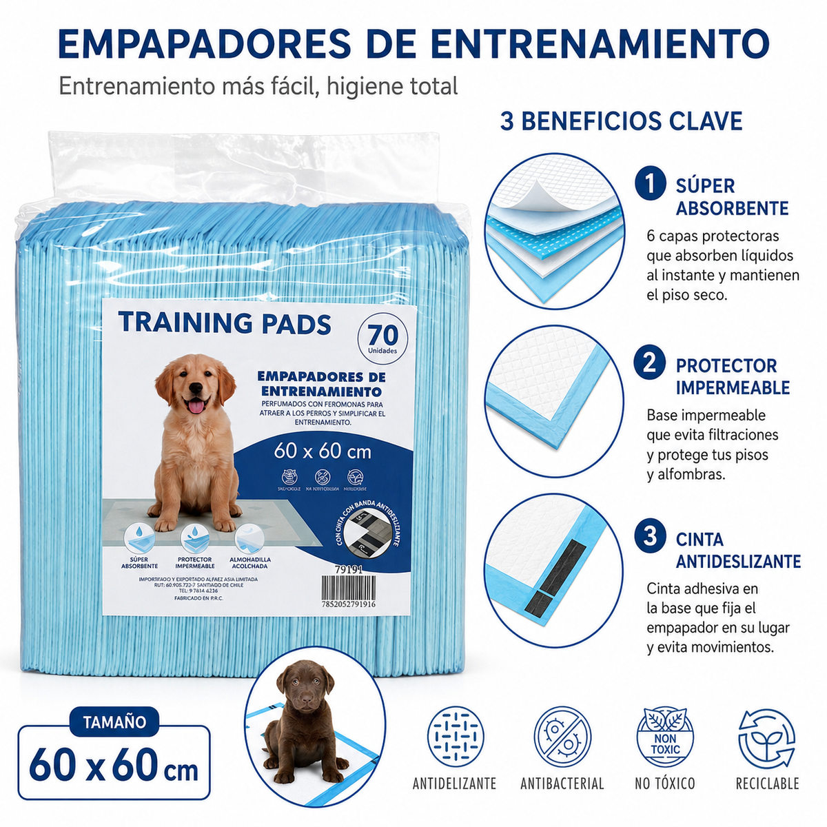 Sabanillas Absorbentes para Mascotas 60 × 60 cm — 70 Unidades