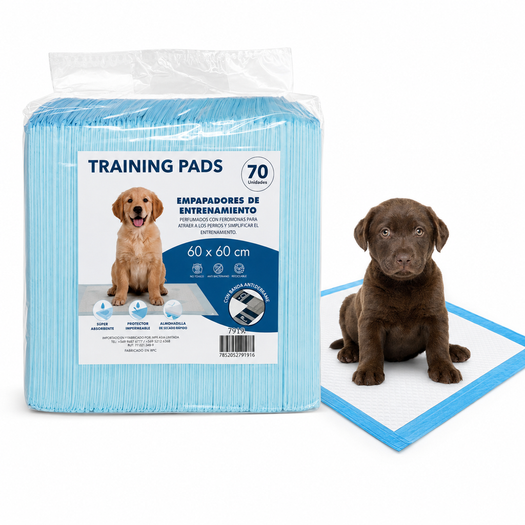 Sabanillas Absorbentes para Mascotas 60 × 60 cm — 70 Unidades