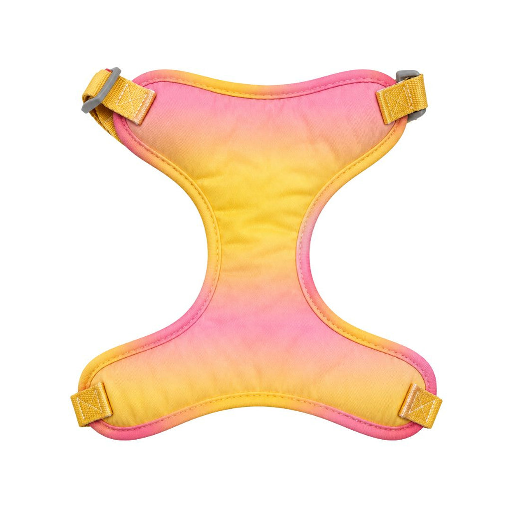 Arnés Daki Pechera Sunset + Correa