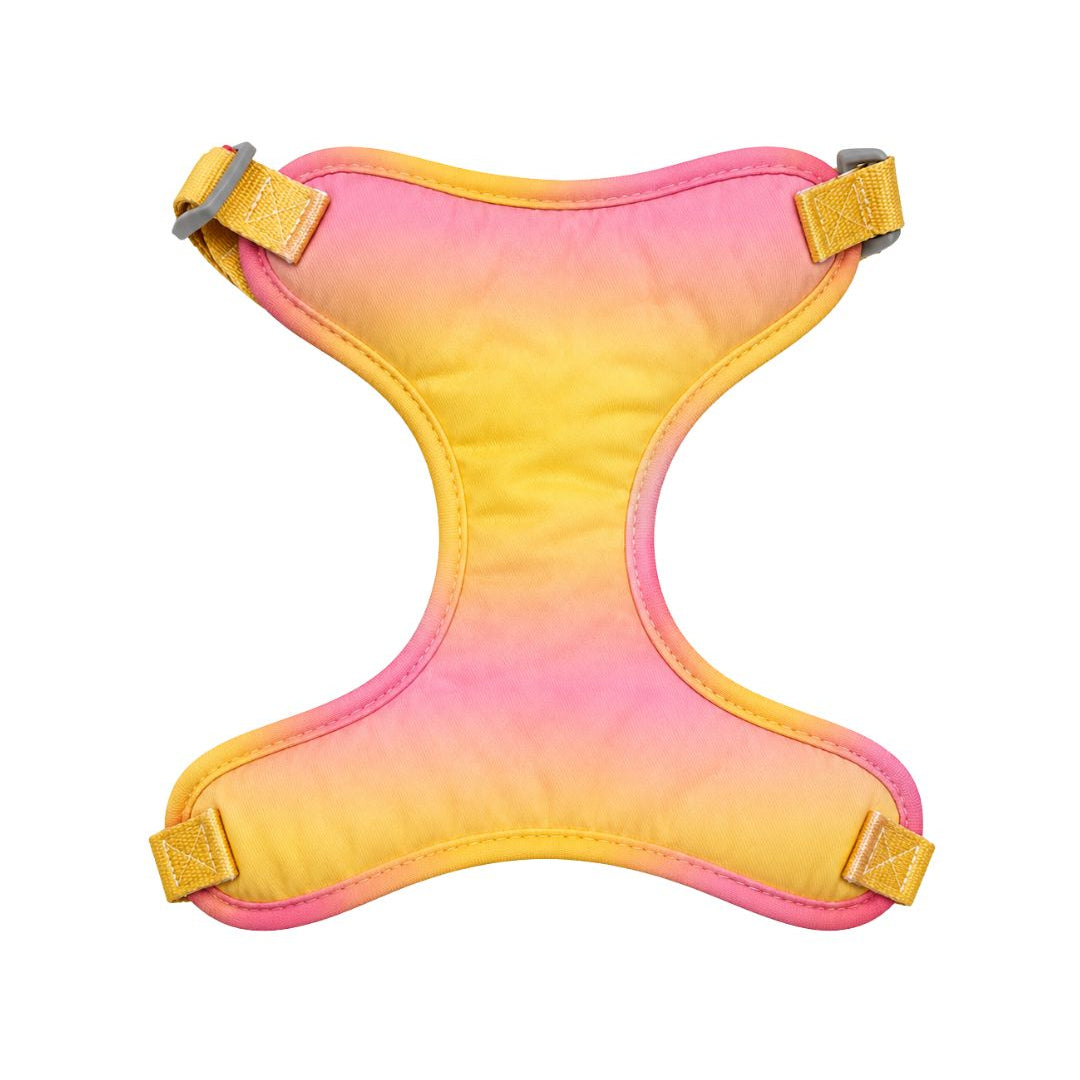 Arnés Daki Pechera Sunset + Correa