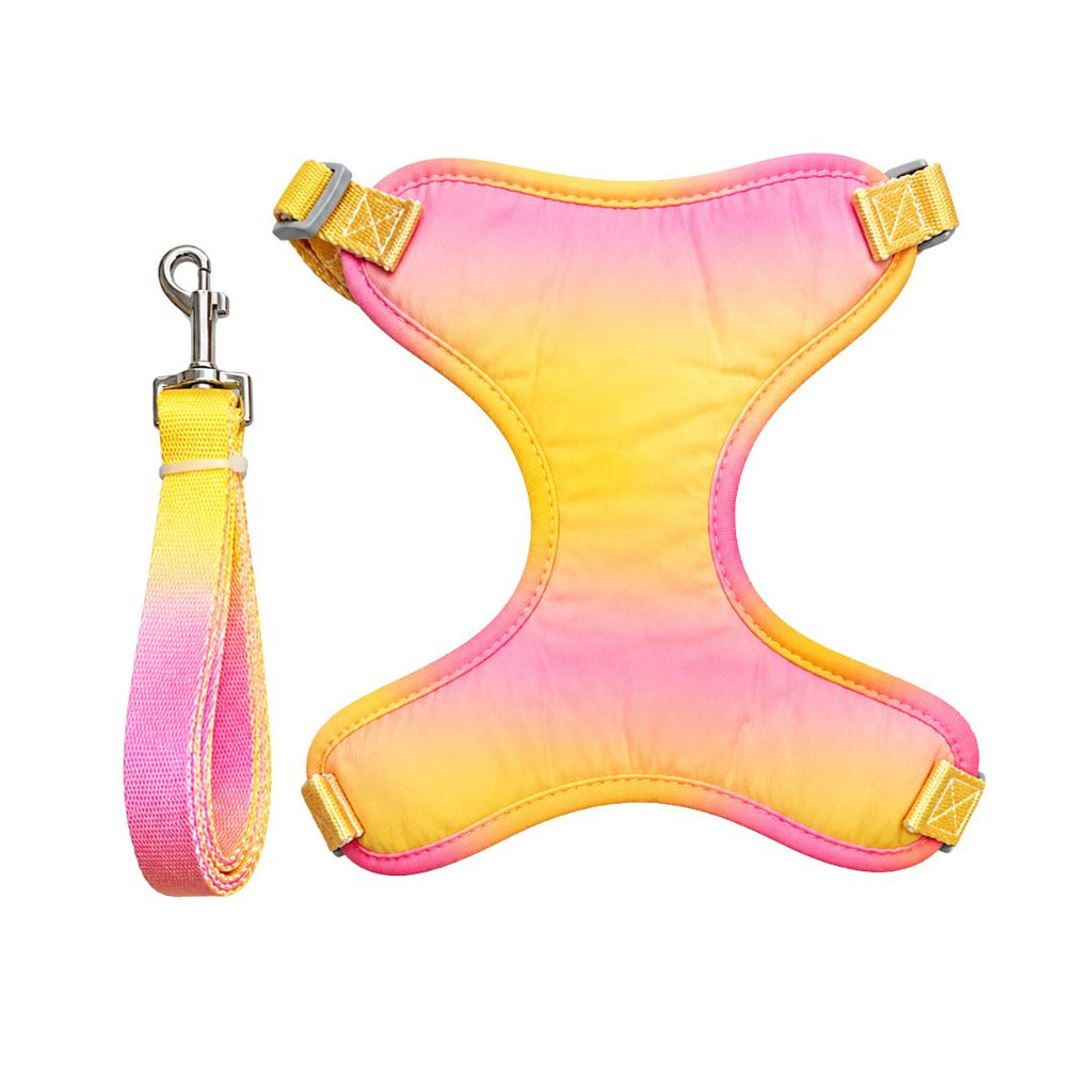 Arnés Daki Pechera Sunset + Correa