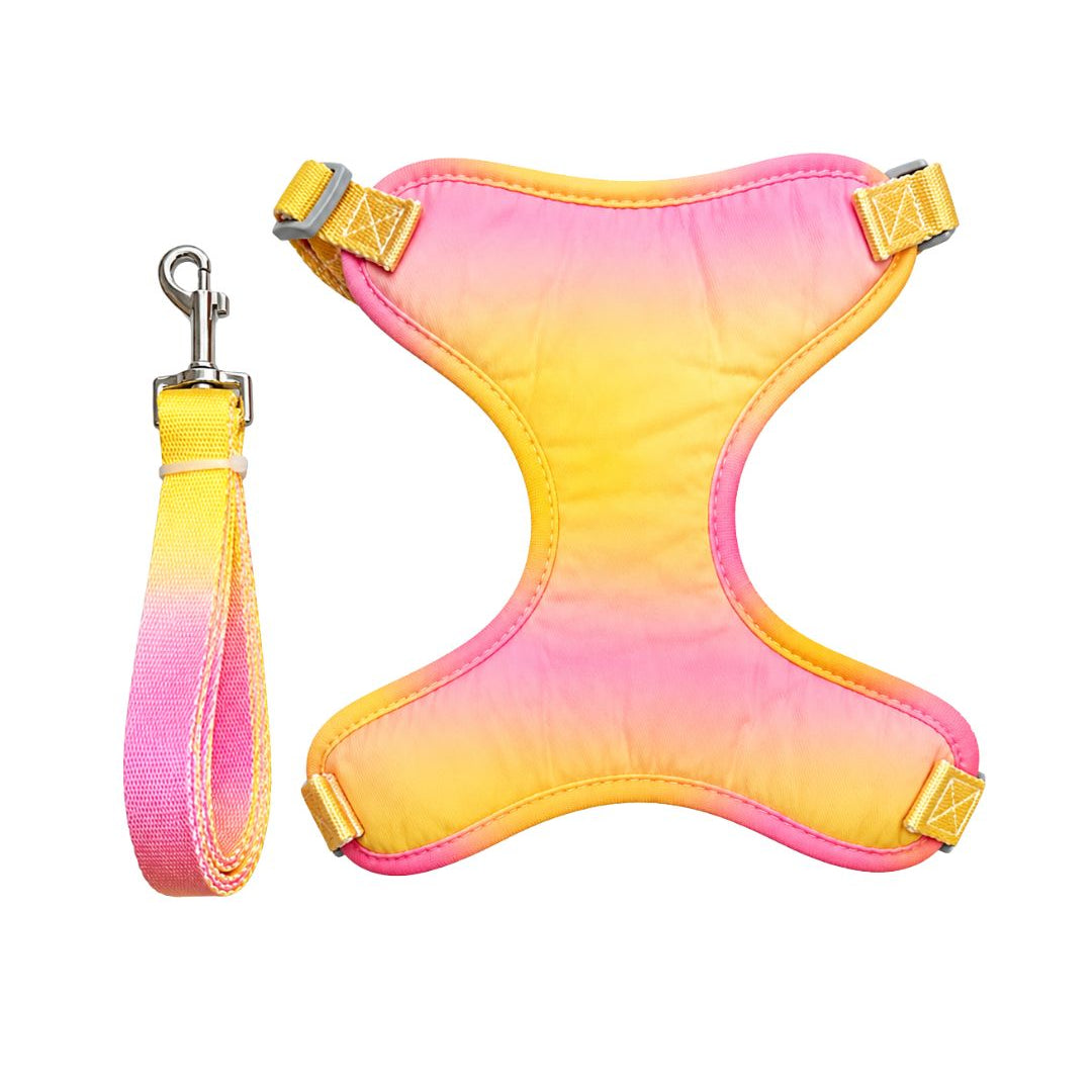 Arnés Daki Pechera Sunset + Correa